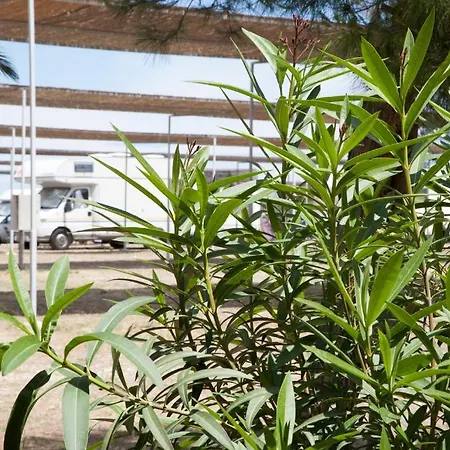 Villaggio Turistico Scialmarino فيستَ